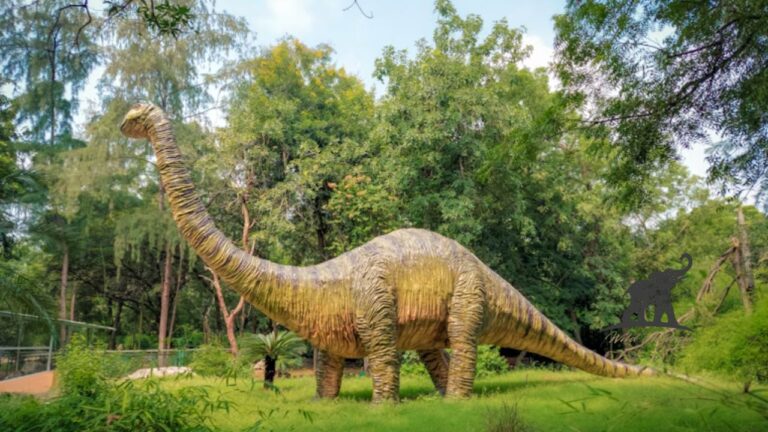 The Giants of a Lost World Unraveling the Dinosaur with Long Neck